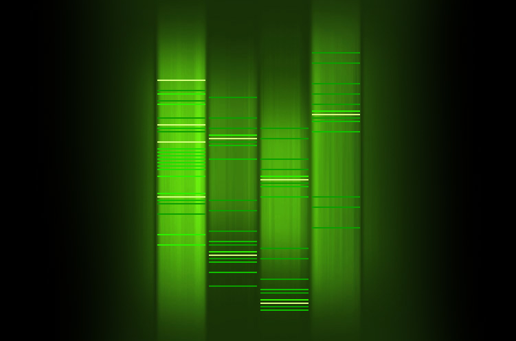 eduo_info DNA eduo_info DNA